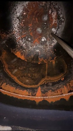 Inspección de Estanque de Termo Albin Trotter 50 L sin Mantenciones : Oxidado